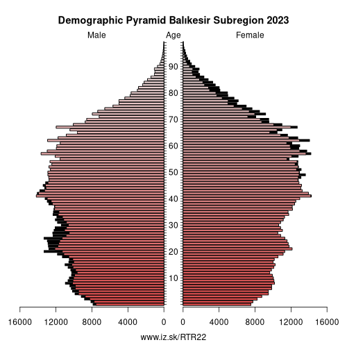 demographic pyramid TR22 Balıkesir Subregion