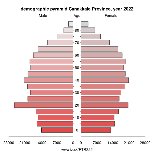 demographic pyramid TR222 Çanakkale Province