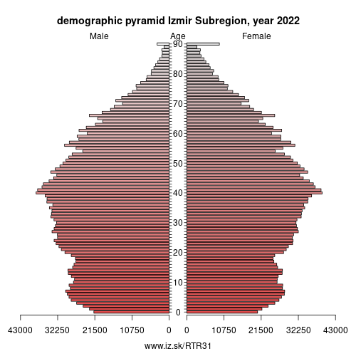 demographic pyramid TR31 Izmir Subregion