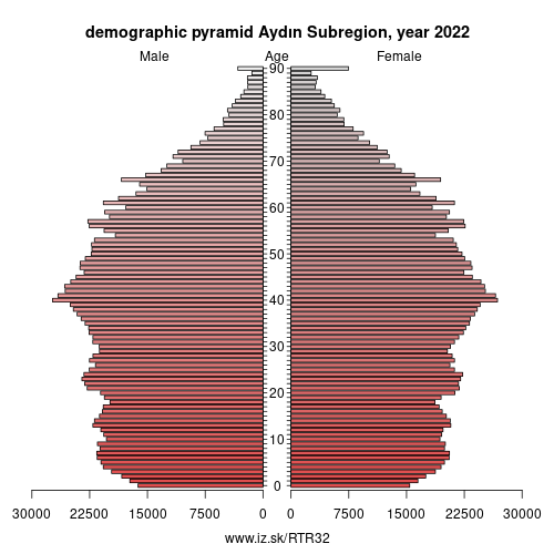 demographic pyramid TR32 Aydın Subregion