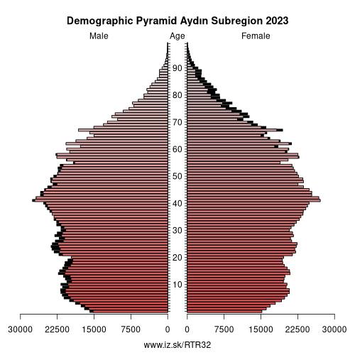 demographic pyramid TR32 Aydın Subregion