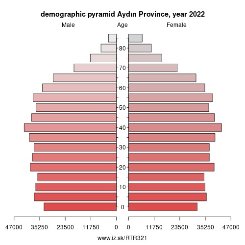demographic pyramid TR321 Aydın Province
