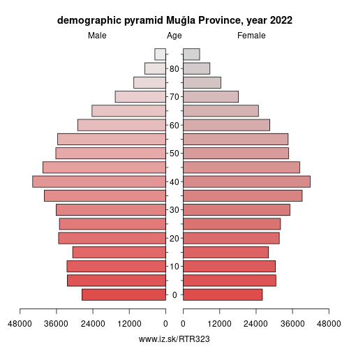 demographic pyramid TR323 Muğla Province