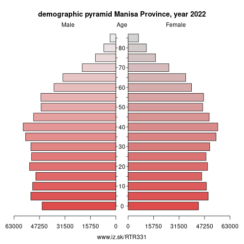demographic pyramid TR331 Manisa Province