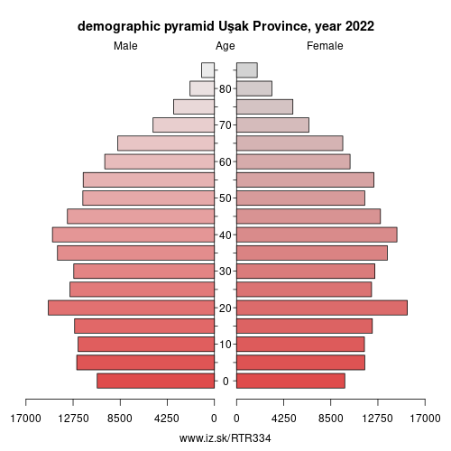 demographic pyramid TR334 Uşak Province