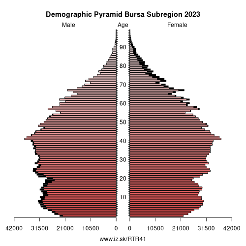 demographic pyramid TR41 Bursa Subregion