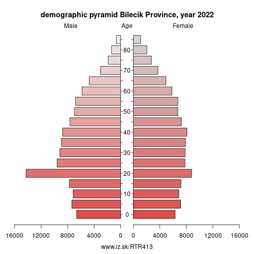 demographic pyramid TR413 Bilecik Province