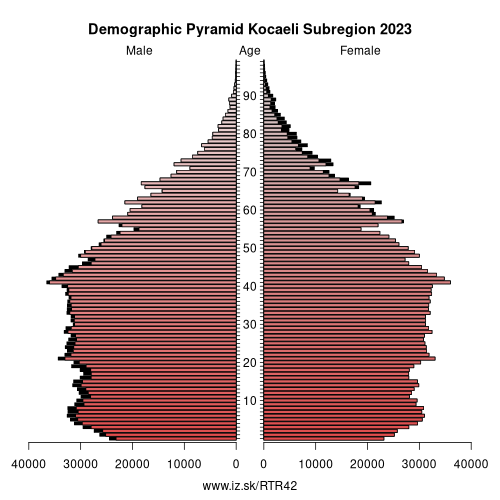 demographic pyramid TR42 Kocaeli Subregion