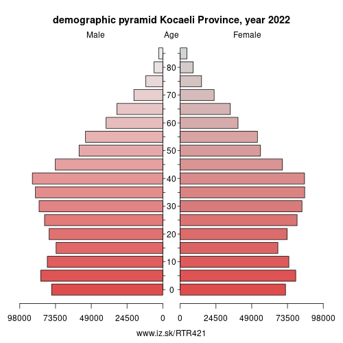 demographic pyramid TR421 Kocaeli Province