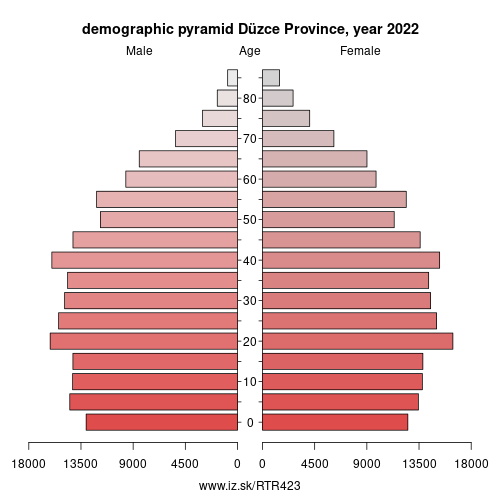 demographic pyramid TR423 Düzce Province