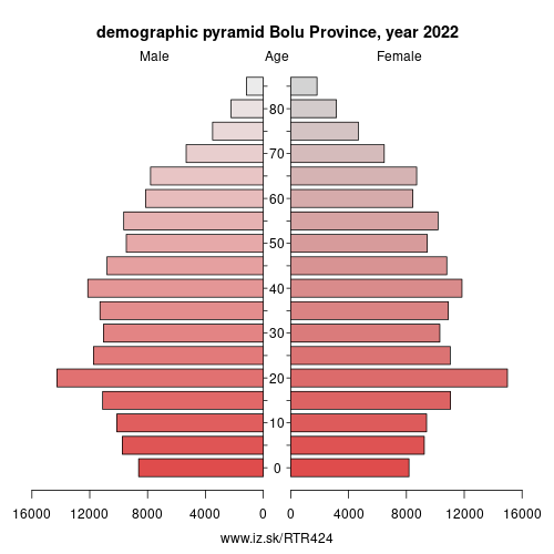 demographic pyramid TR424 Bolu Province