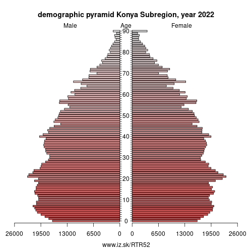 demographic pyramid TR52 Konya Subregion