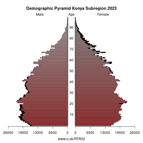 demographic pyramid TR52 Konya Subregion