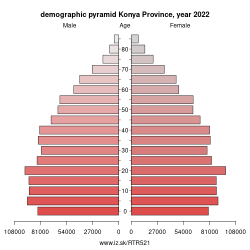 demographic pyramid TR521 Konya Province