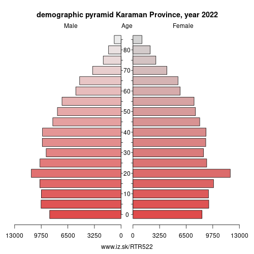 demographic pyramid TR522 Karaman Province