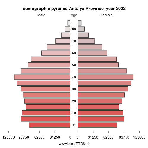 demographic pyramid TR611 Antalya Province