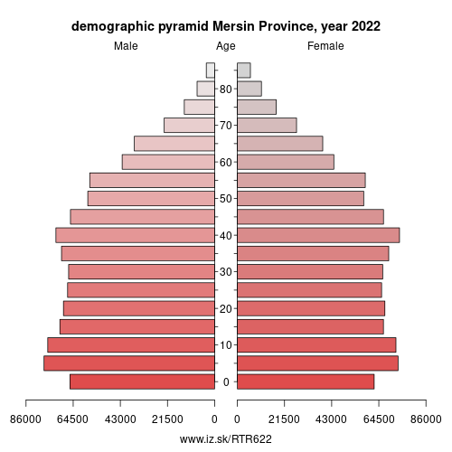 demographic pyramid TR622 Mersin Province