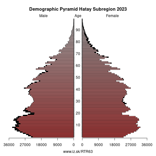 demographic pyramid TR63 Hatay Subregion