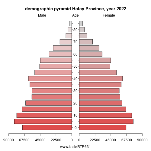 demographic pyramid TR631 Hatay Province