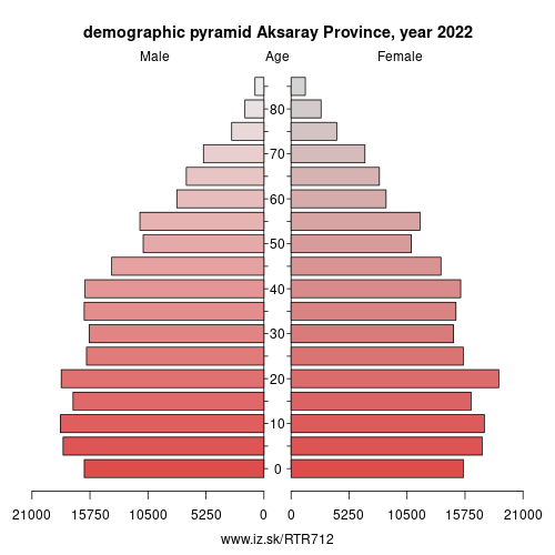 demographic pyramid TR712 Aksaray Province