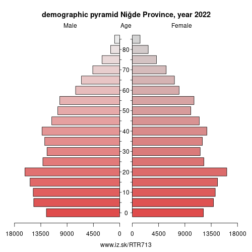 demographic pyramid TR713 Niğde Province