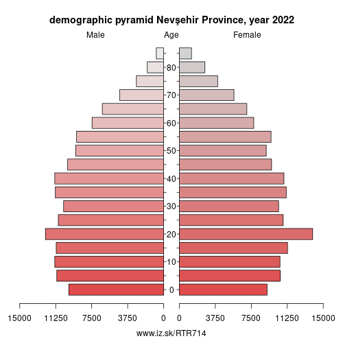 demographic pyramid TR714 Nevşehir Province