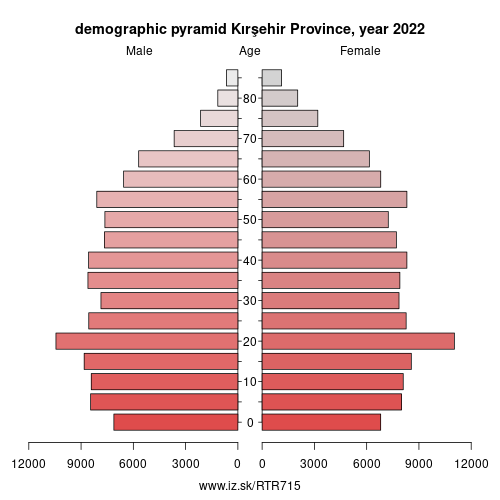 demographic pyramid TR715 Kırşehir Province