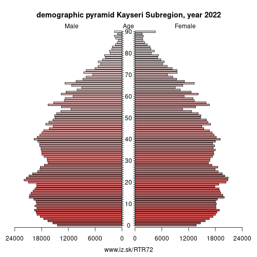 demographic pyramid TR72 Kayseri Subregion