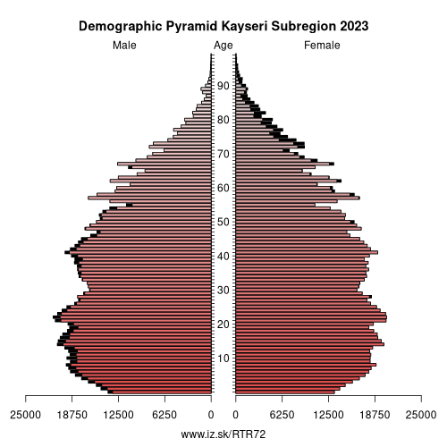 demographic pyramid TR72 Kayseri Subregion