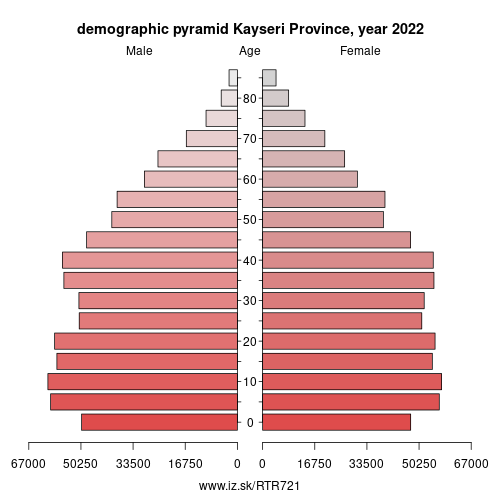 demographic pyramid TR721 Kayseri Province