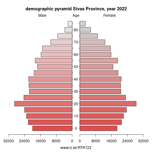 demographic pyramid TR722 Sivas Province