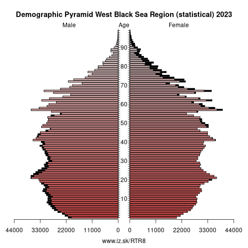 demographic pyramid TR8 West Black Sea Region (statistical)