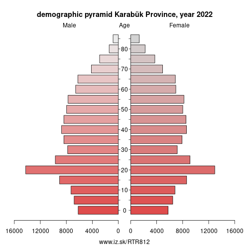demographic pyramid TR812 Karabük Province