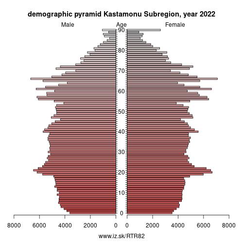 demographic pyramid TR82 Kastamonu Subregion