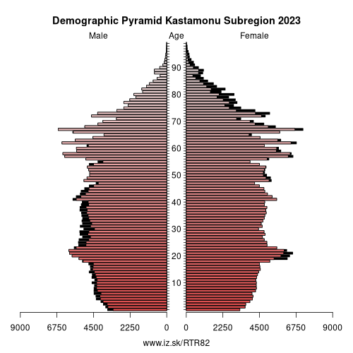 demographic pyramid TR82 Kastamonu Subregion