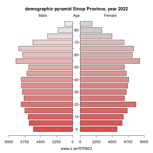 demographic pyramid TR823 Sinop Province