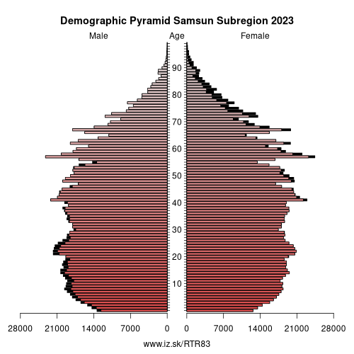 demographic pyramid TR83 Samsun Subregion