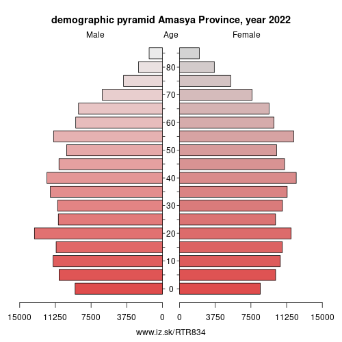 demographic pyramid TR834 Amasya Province
