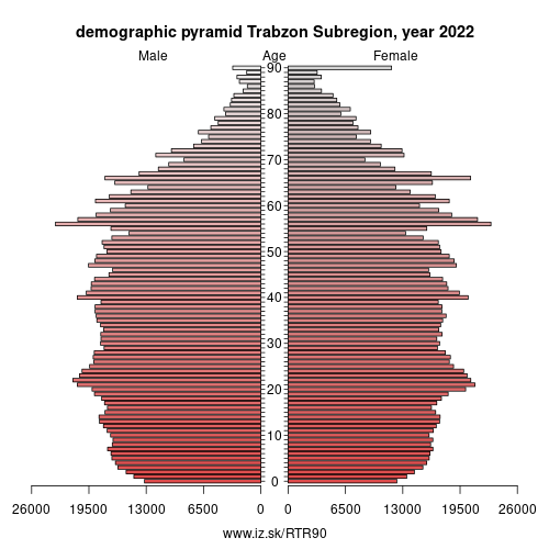 demographic pyramid TR90 Trabzon Subregion
