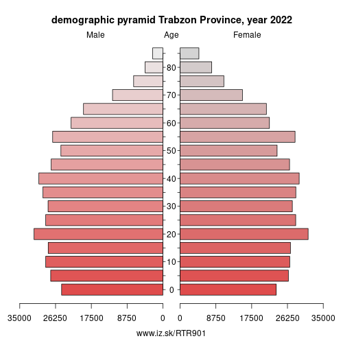 demographic pyramid TR901 Trabzon Province