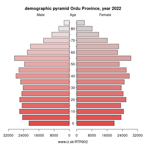 demographic pyramid TR902 Ordu Province