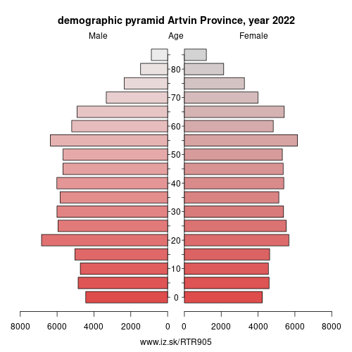 demographic pyramid TR905 Artvin Province