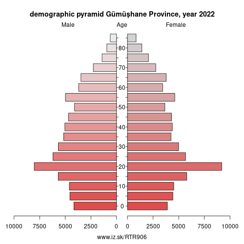demographic pyramid TR906 Gümüşhane Province