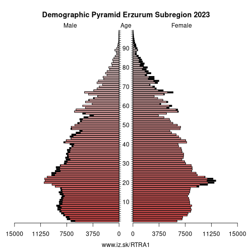 demographic pyramid TRA1 Erzurum Subregion