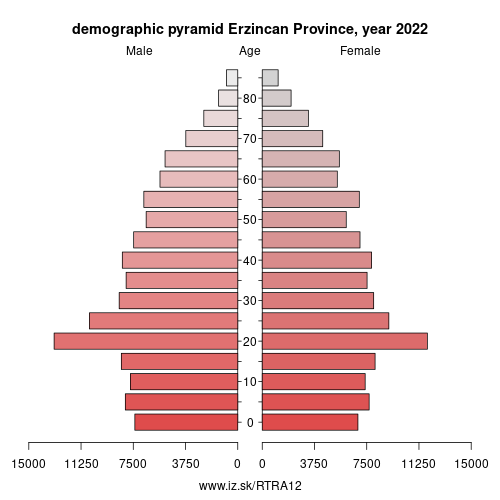 demographic pyramid TRA12 Erzincan Province