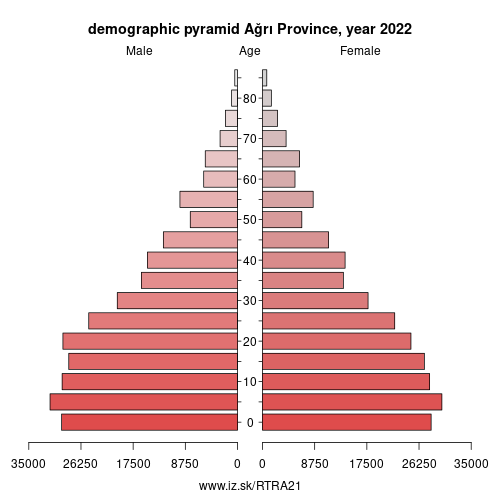 demographic pyramid TRA21 Ağrı Province