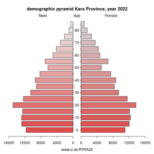 demographic pyramid TRA22 Kars Province