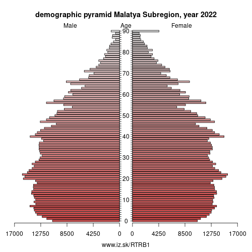 demographic pyramid TRB1 Malatya Subregion