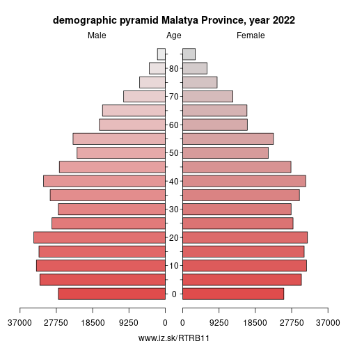 demographic pyramid TRB11 Malatya Province