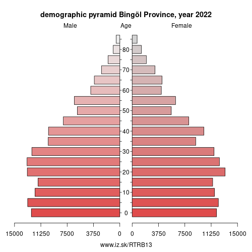 demographic pyramid TRB13 Bingöl Province